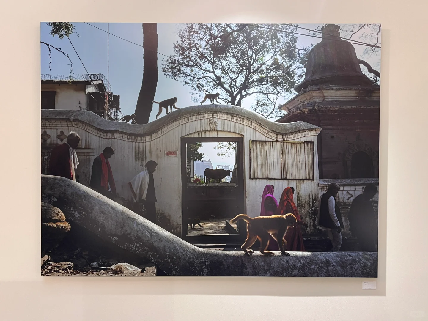 影像上海艺术博览会｜?