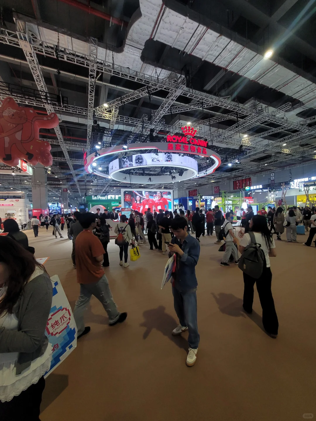 宠物展 登录石家庄了