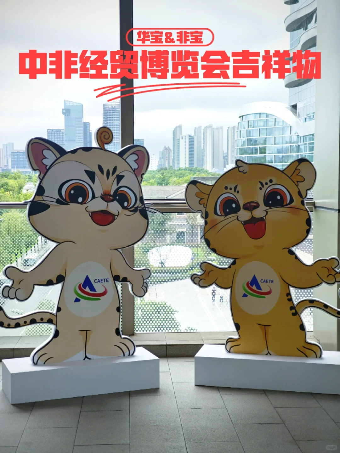 二次赴会，务实之风扑面｜第四届参会手记