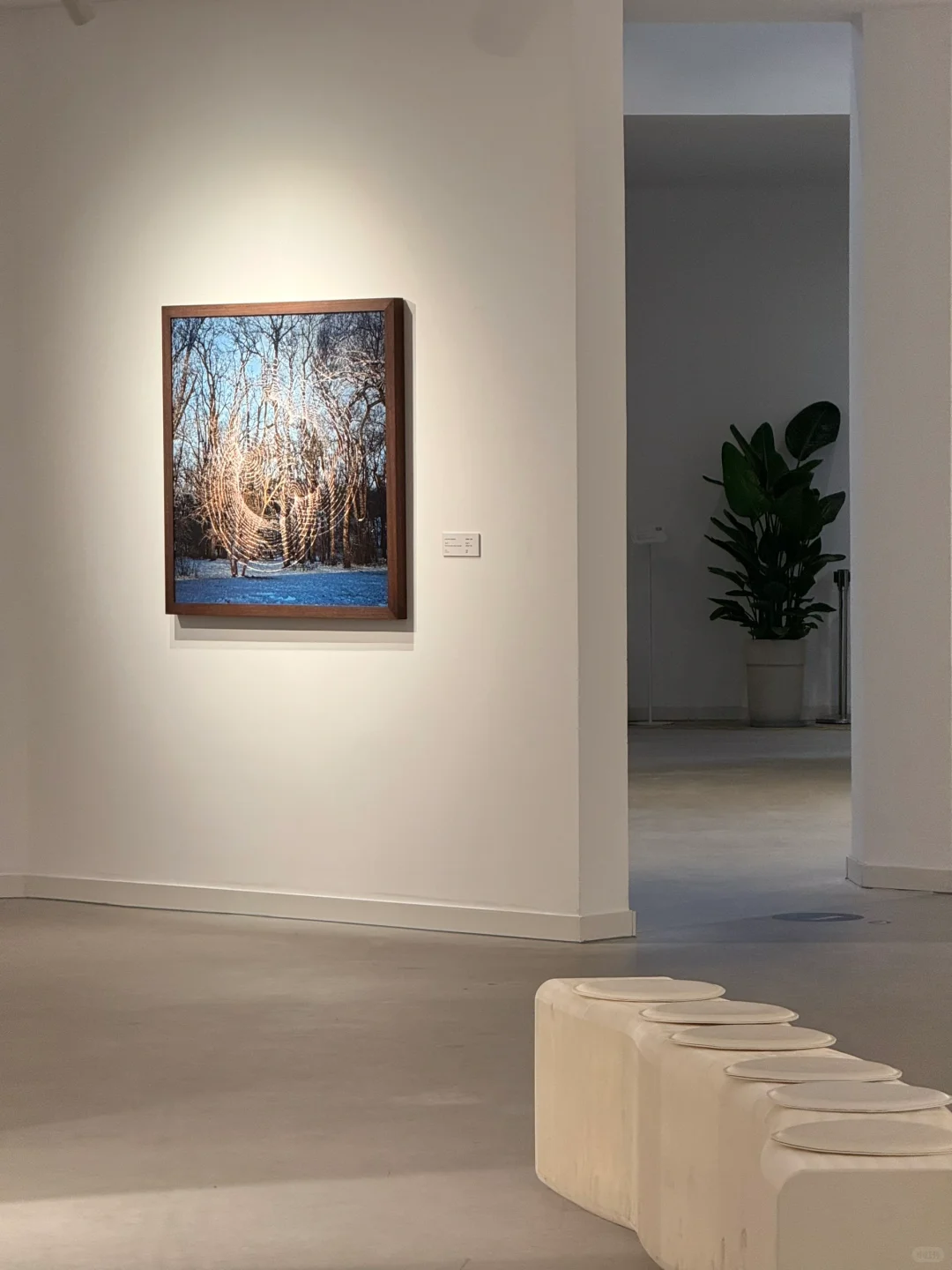 ▪️苏州新展｜我内心的那个空从哪里来？