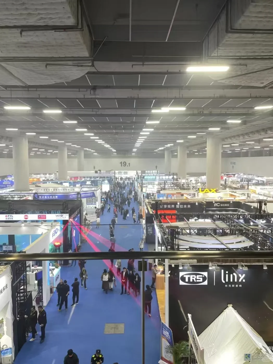 展会协助！真爽