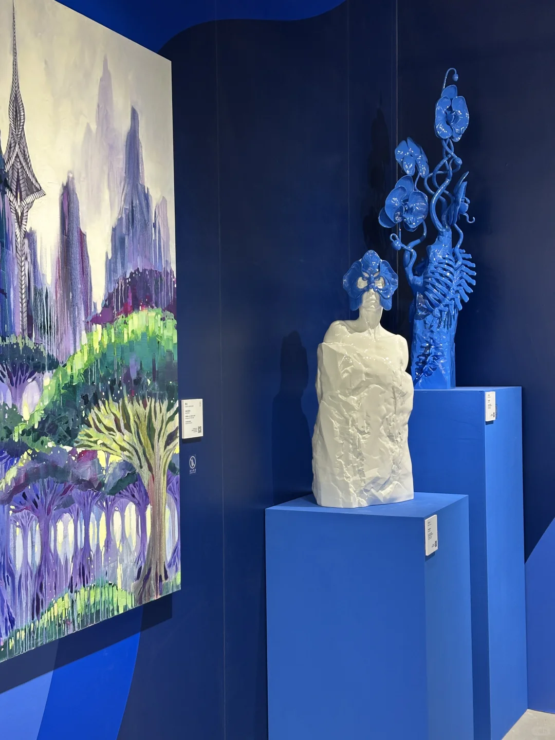 在北京当代艺术博览会看到了杉本博司的作品