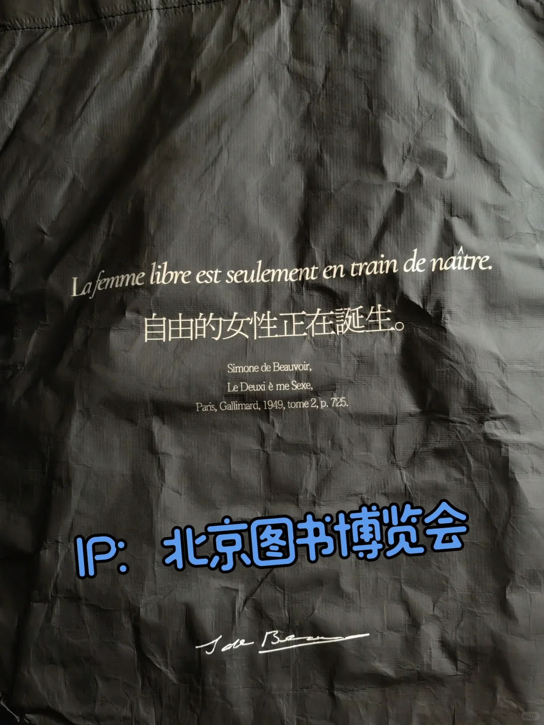 北京图书博览会—依然逃不过满载文创而归