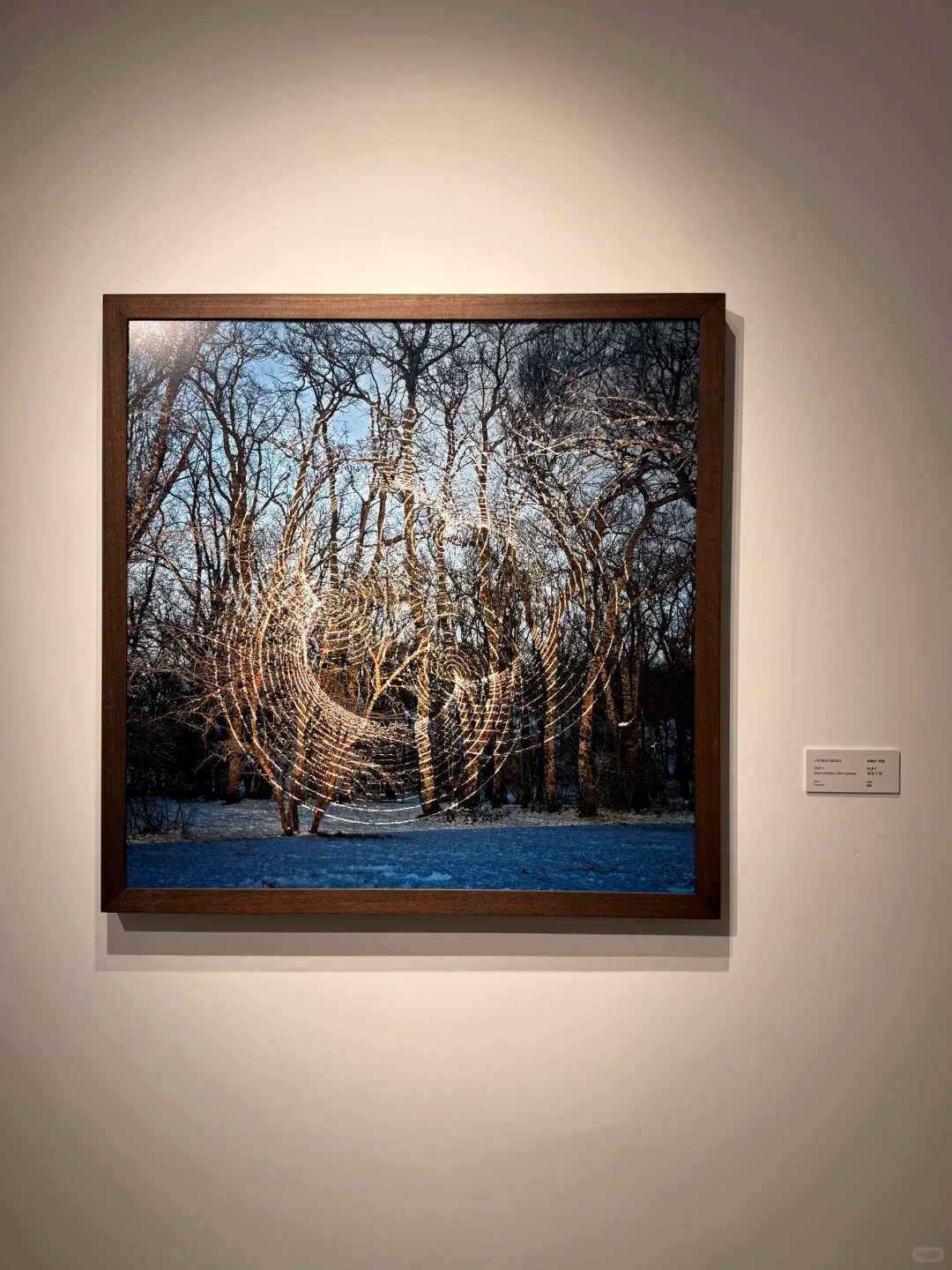 ▪️苏州新展｜我内心的那个空从哪里来？