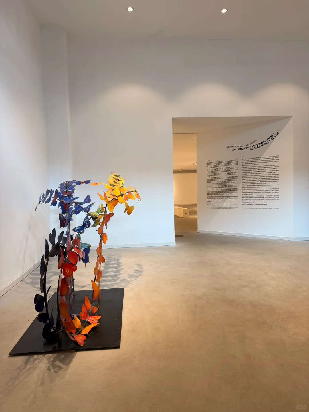 ▪️苏州新展｜我内心的那个空从哪里来？