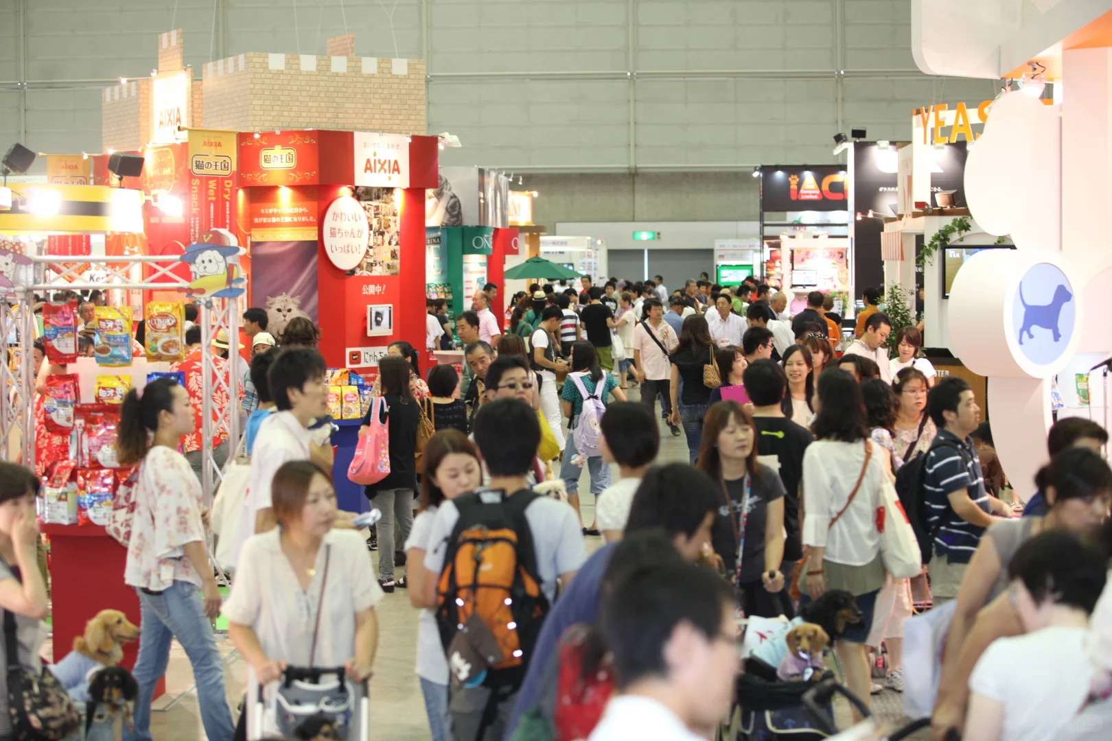 2025年日本东京宠物展游学团本周最后报名?