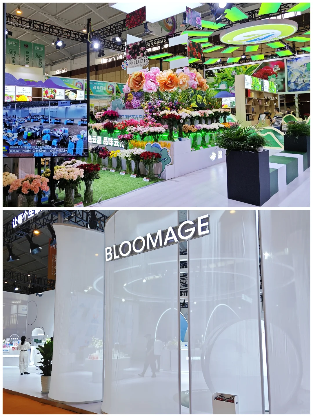 ✅收藏这份攻略，南博会逛展不走弯路