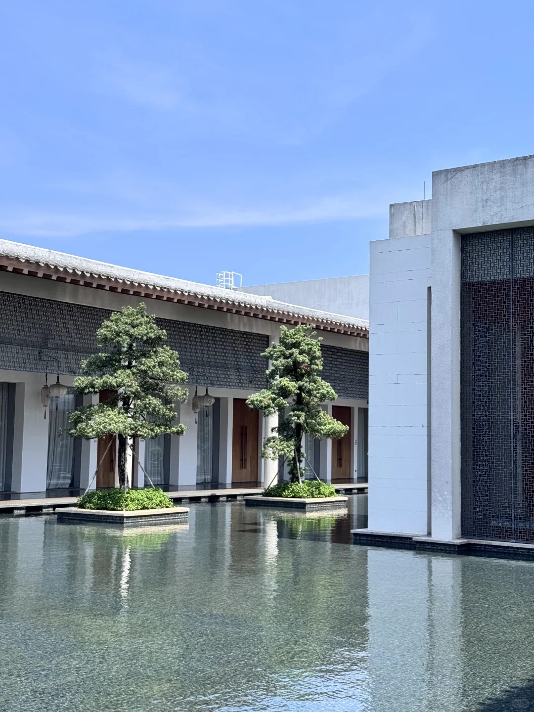 来参加小红书的数码展啦