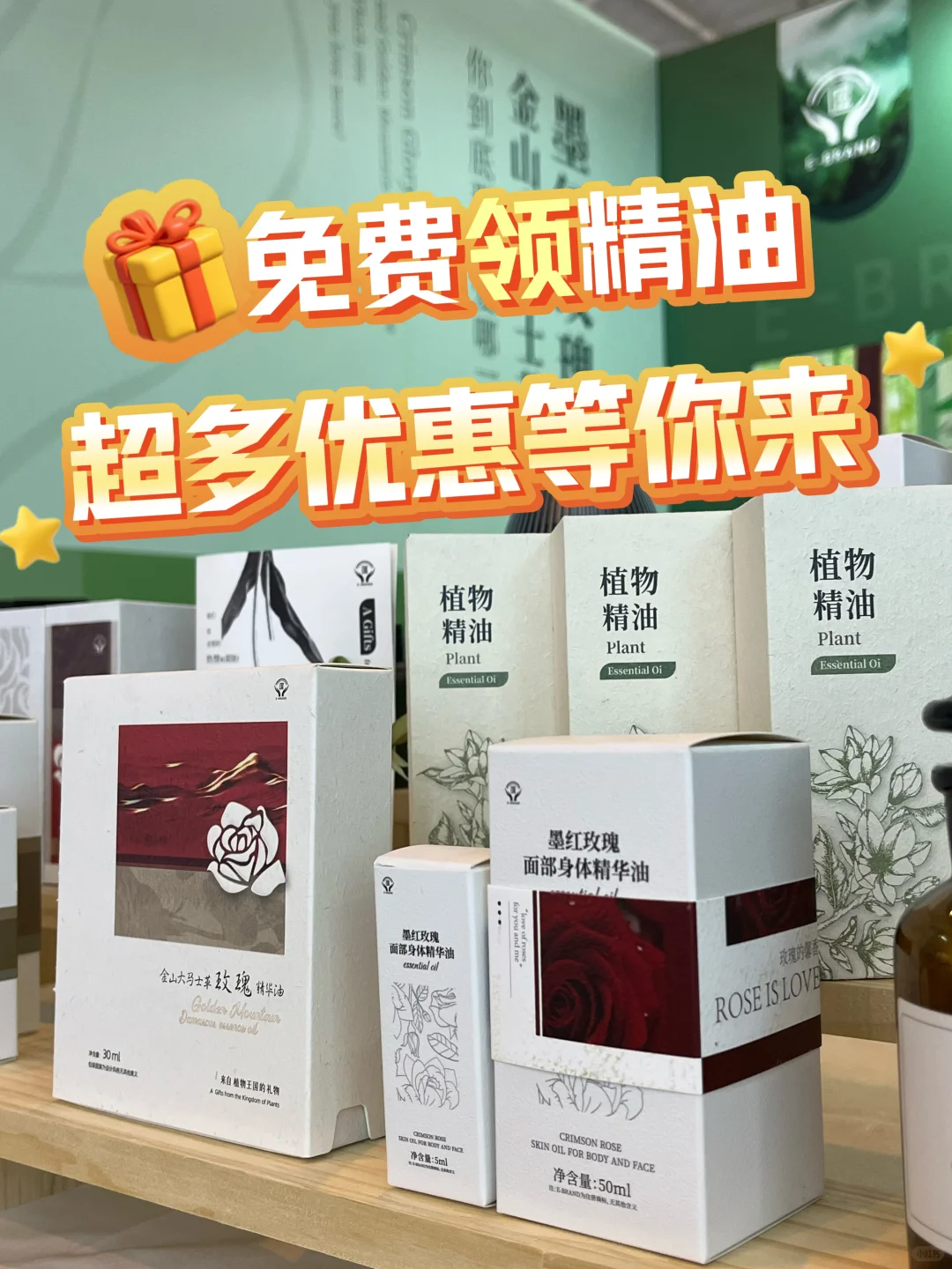 免费领精油啦！南博会必打卡的植愈小天地