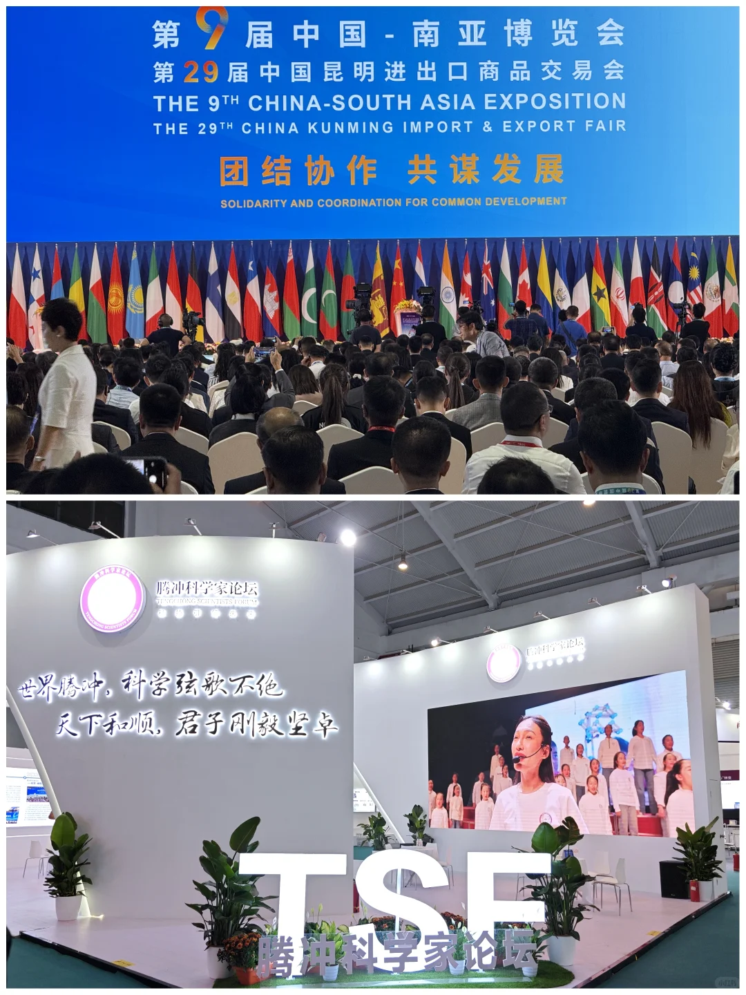 ✅收藏这份攻略，南博会逛展不走弯路