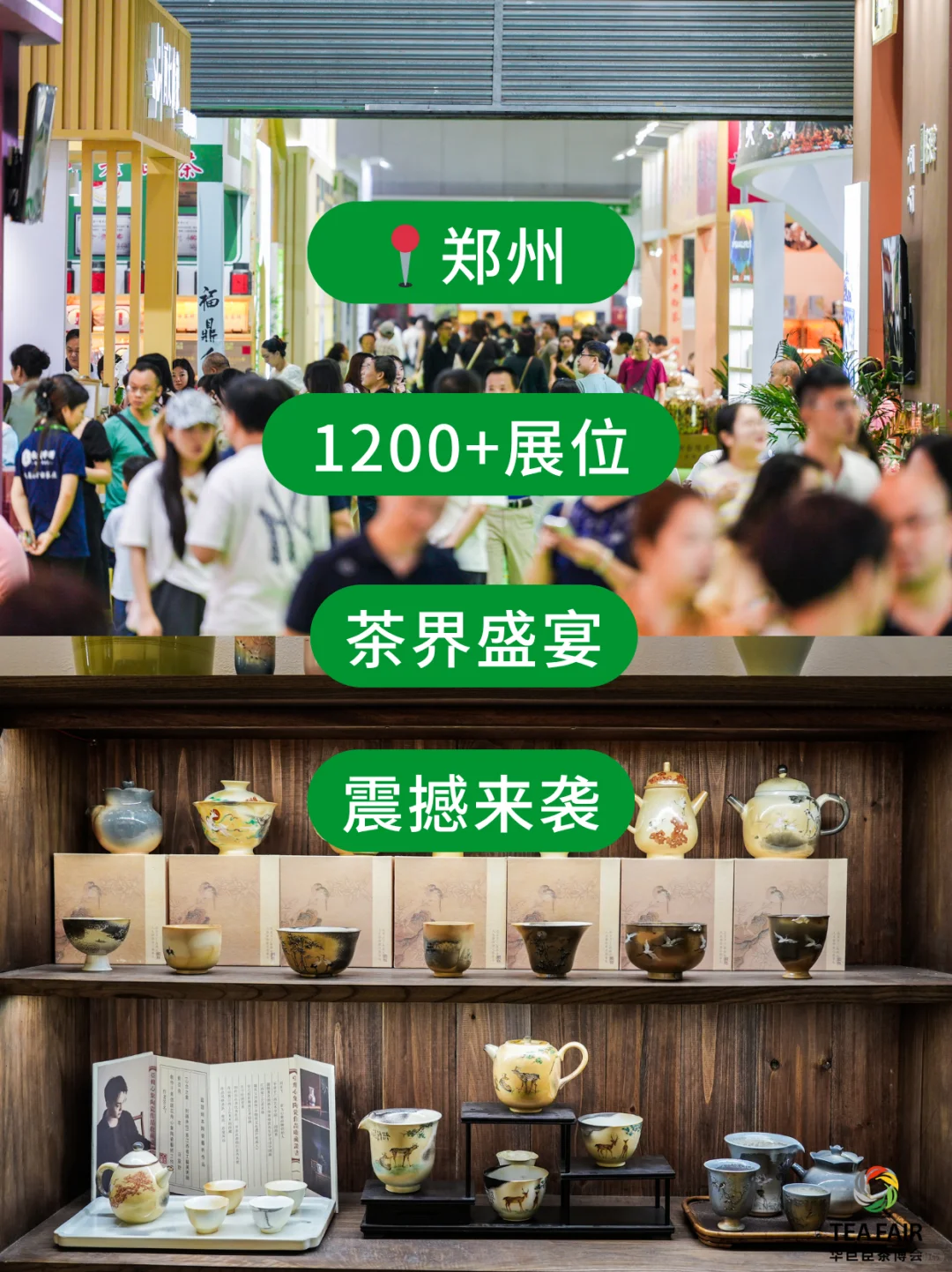 6月必赴的茶香之约，这份逛展指南请查收