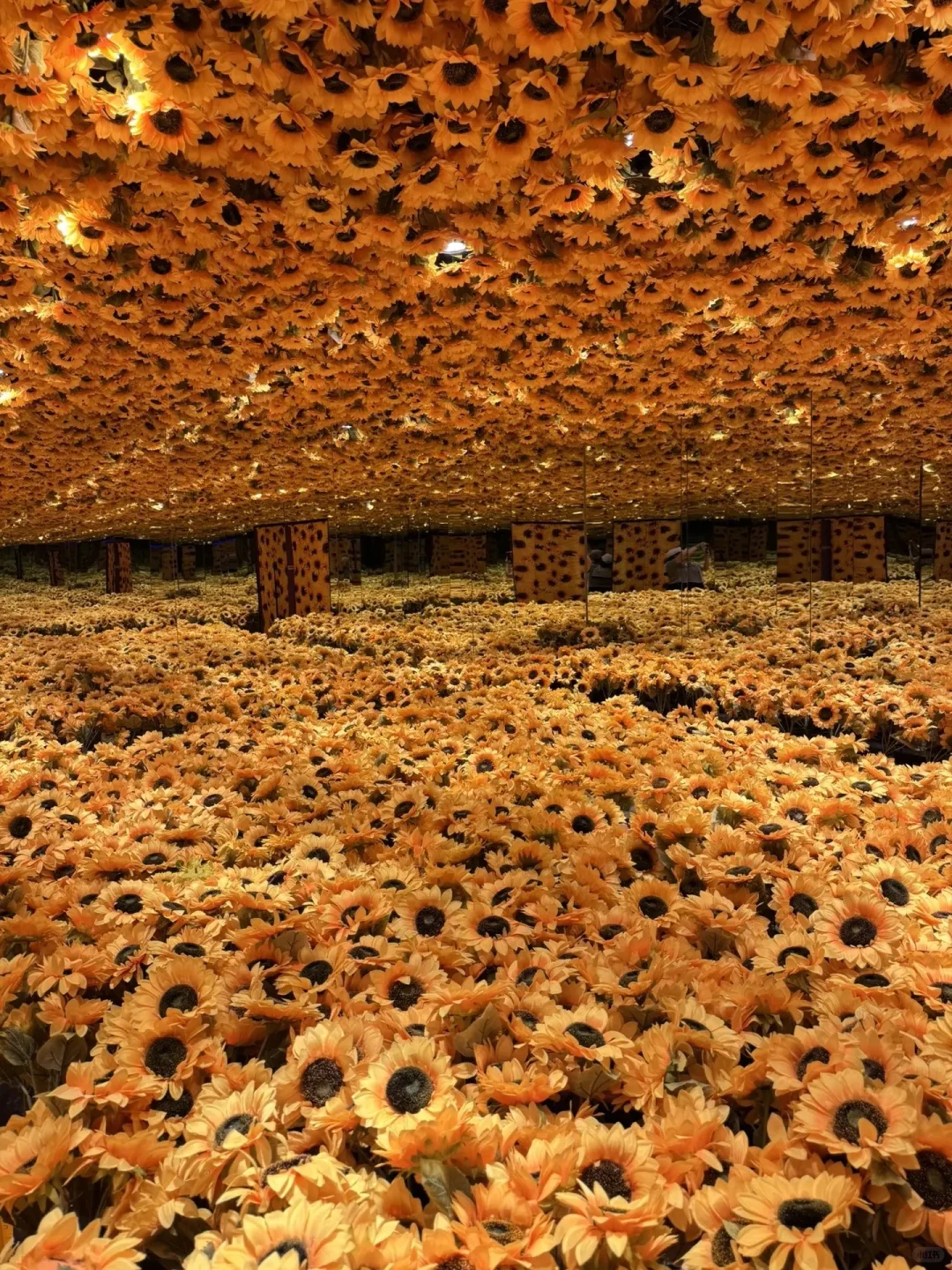 成功打卡再现大师艺术展（内含保姆级攻略）