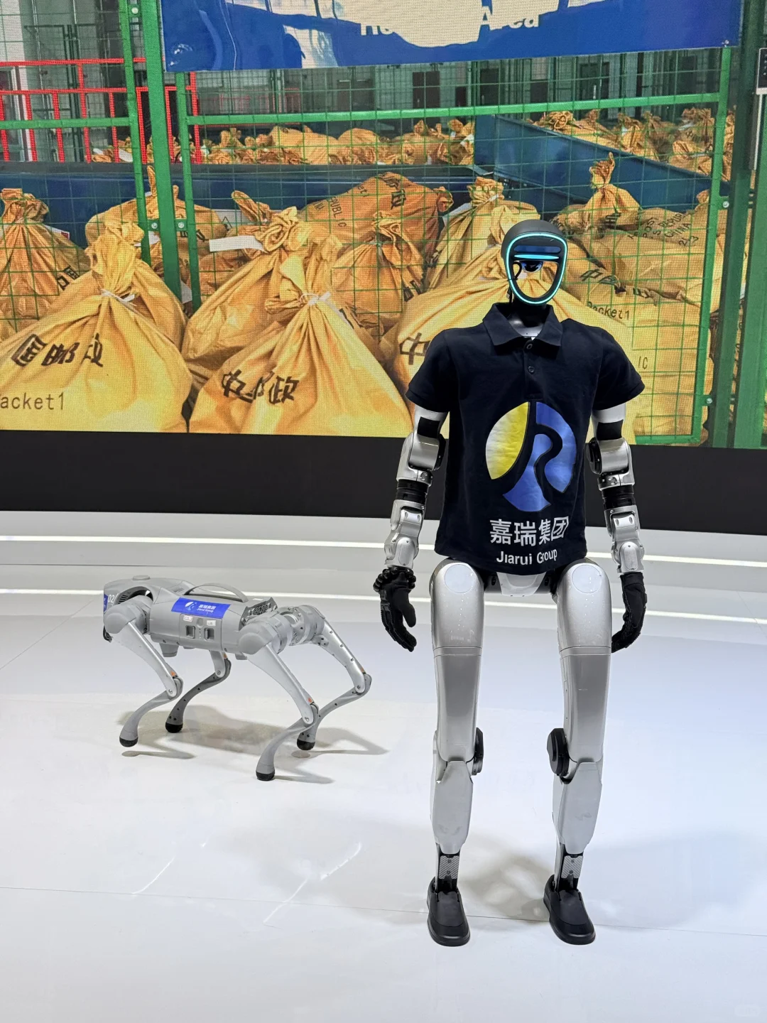 ⚠️深圳展会捞人！1分钟内我要她的全部信息