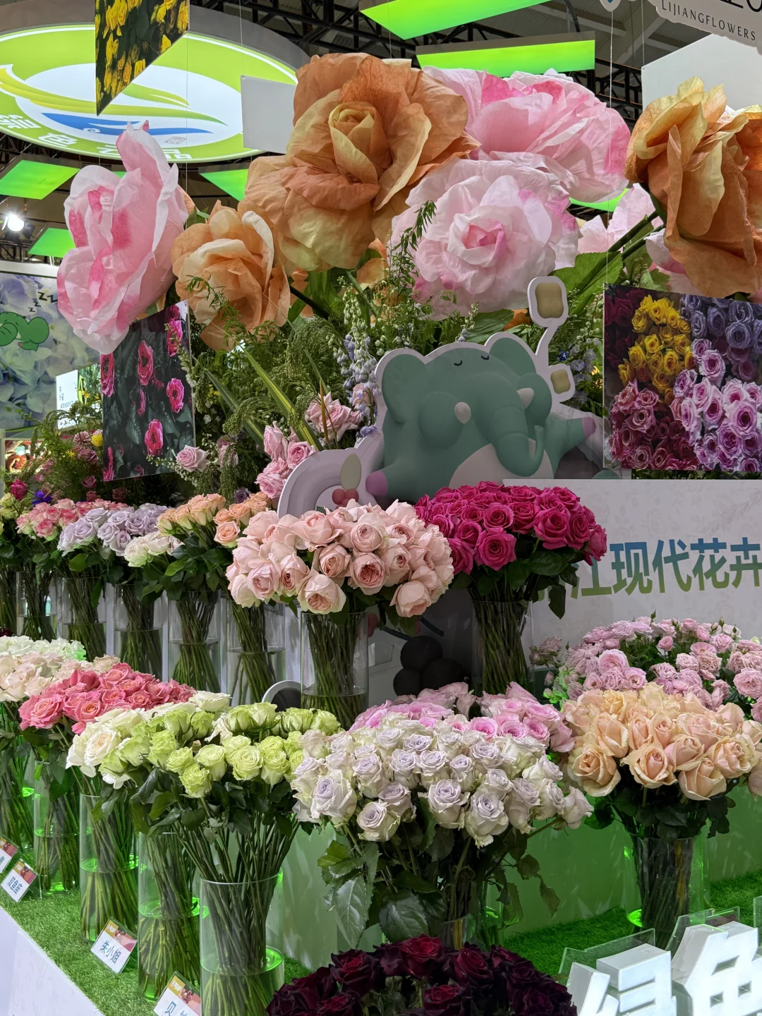 南博会早鸟攻略（内部版?️