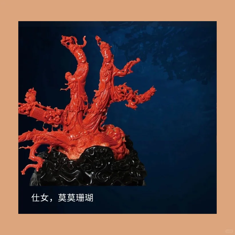 南博新展｜深海绮珍宝石珊瑚的艺术与文化