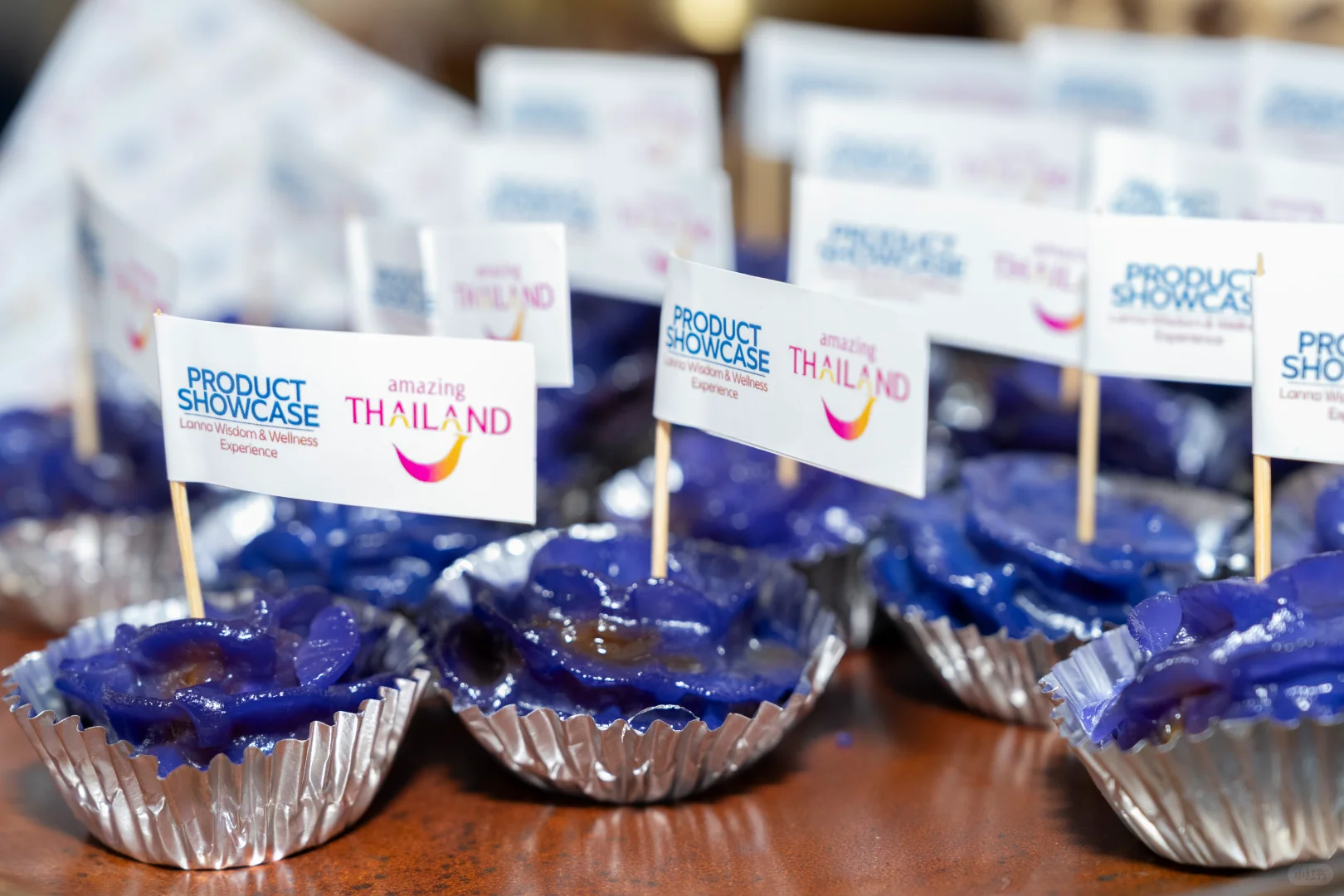 TTM+2025泰国旅游交易会于清迈盛大启幕