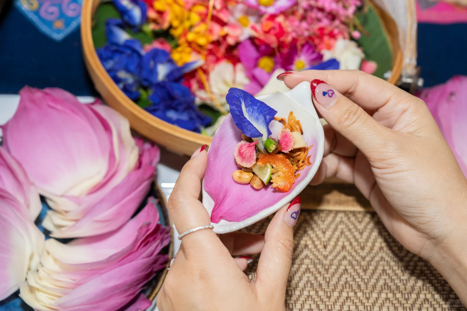 TTM+2025泰国旅游交易会于清迈盛大启幕