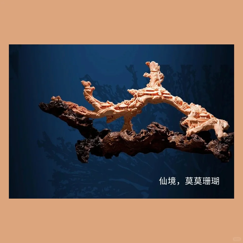 南博新展｜深海绮珍宝石珊瑚的艺术与文化