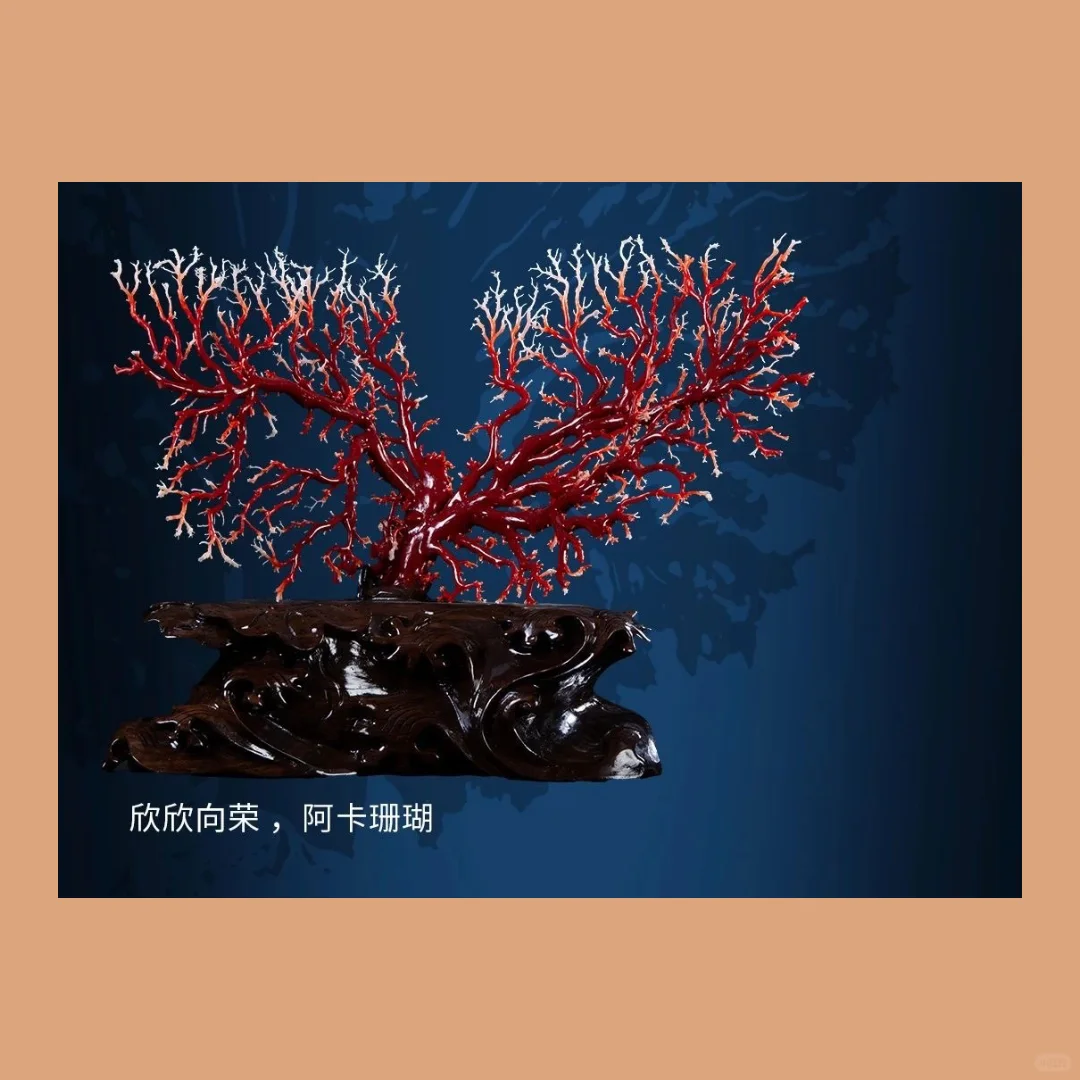 南博新展｜深海绮珍宝石珊瑚的艺术与文化