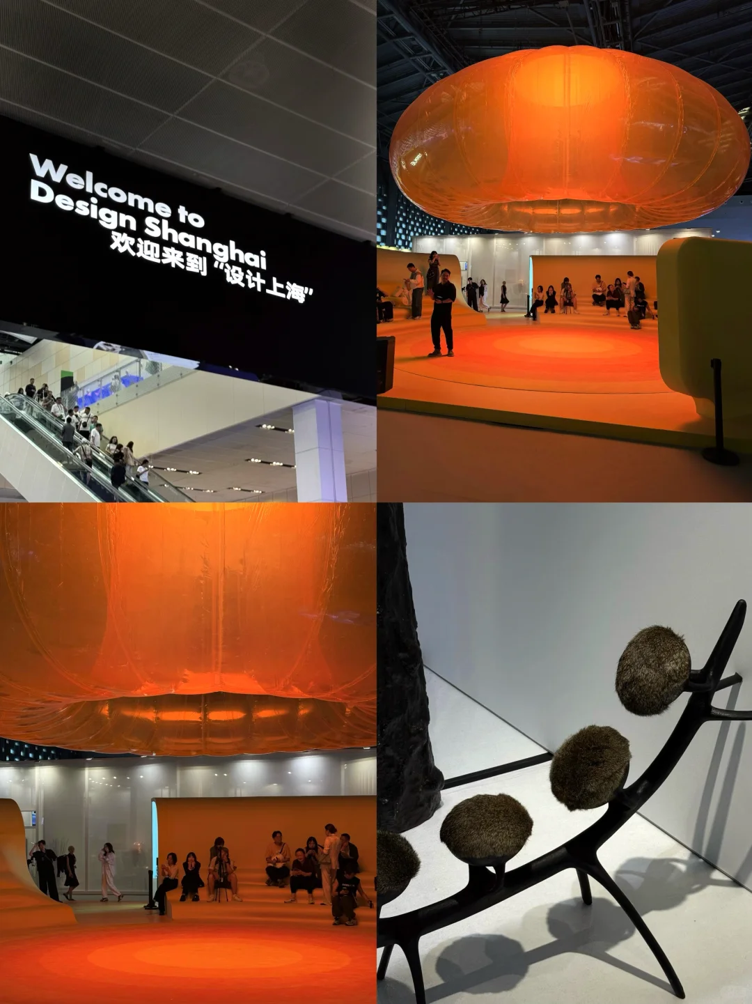 上海看展｜设计上海2025??‍➡️暴走一整天