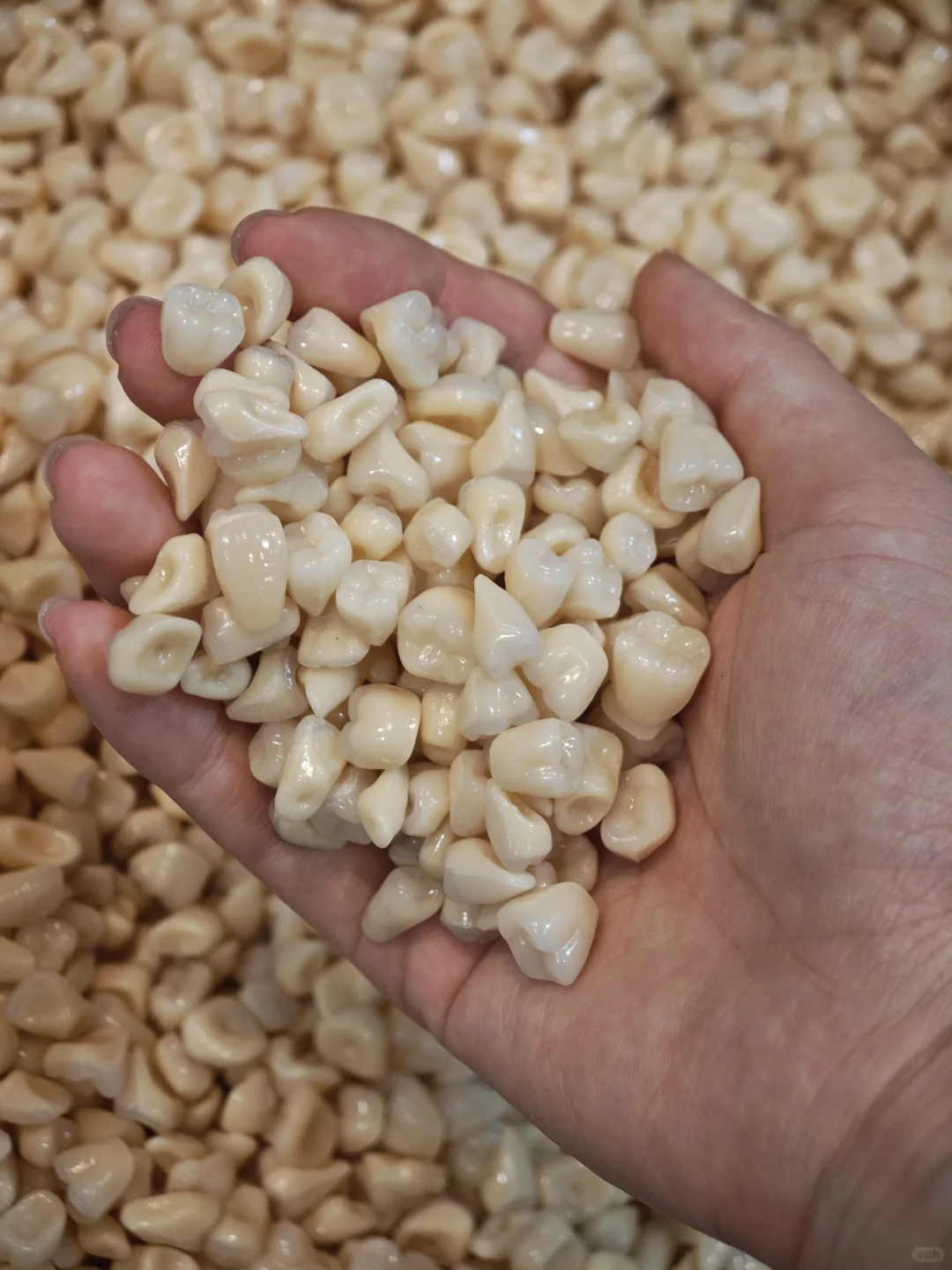 ✨青岛国际口腔展会也太好逛了