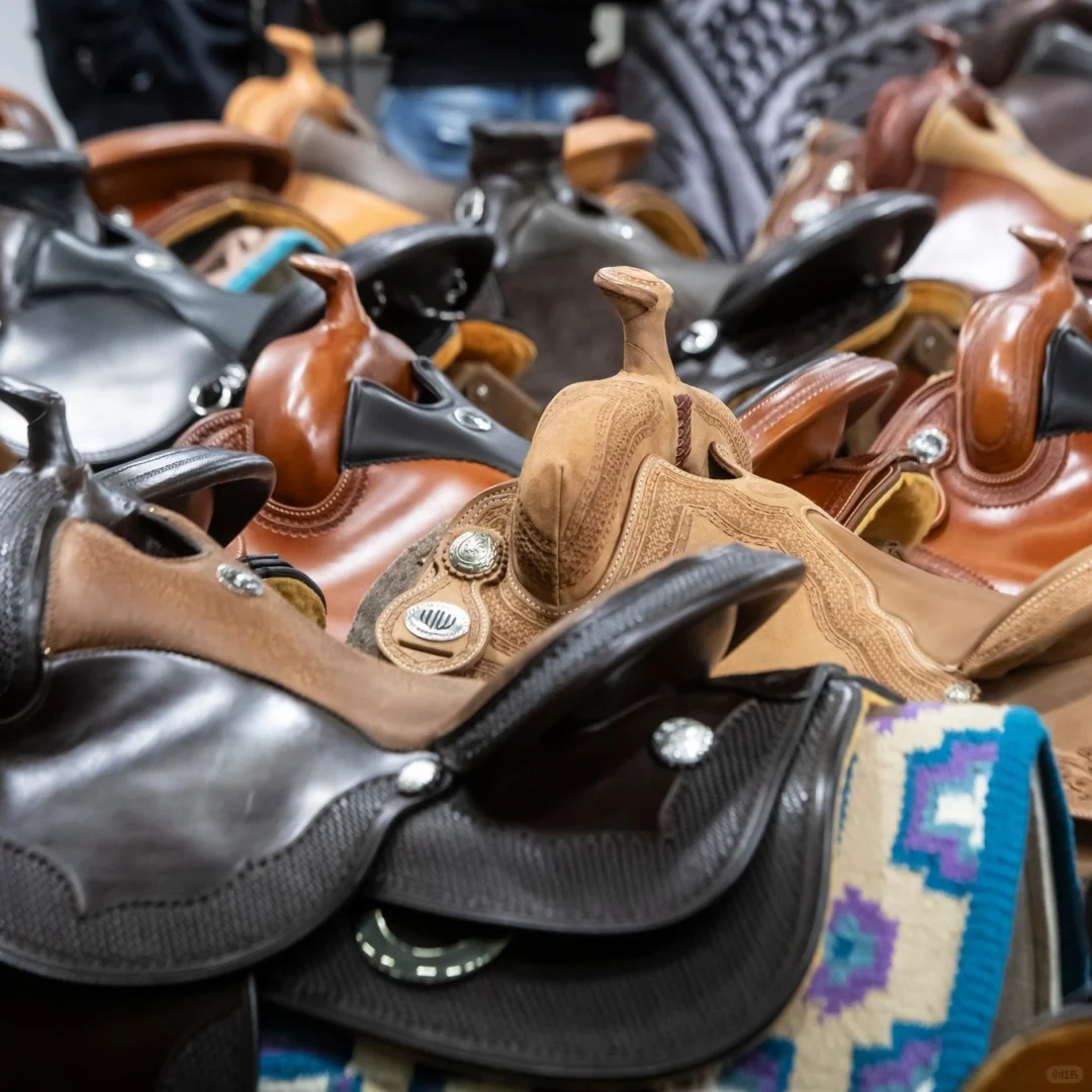 德国科隆马术展览会 spoga horse