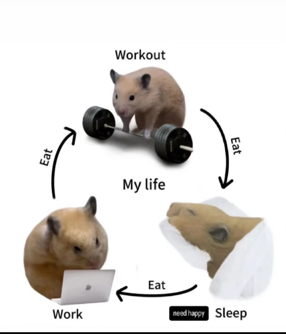 邯郸或者邯郸附近有没有需要英语翻译的