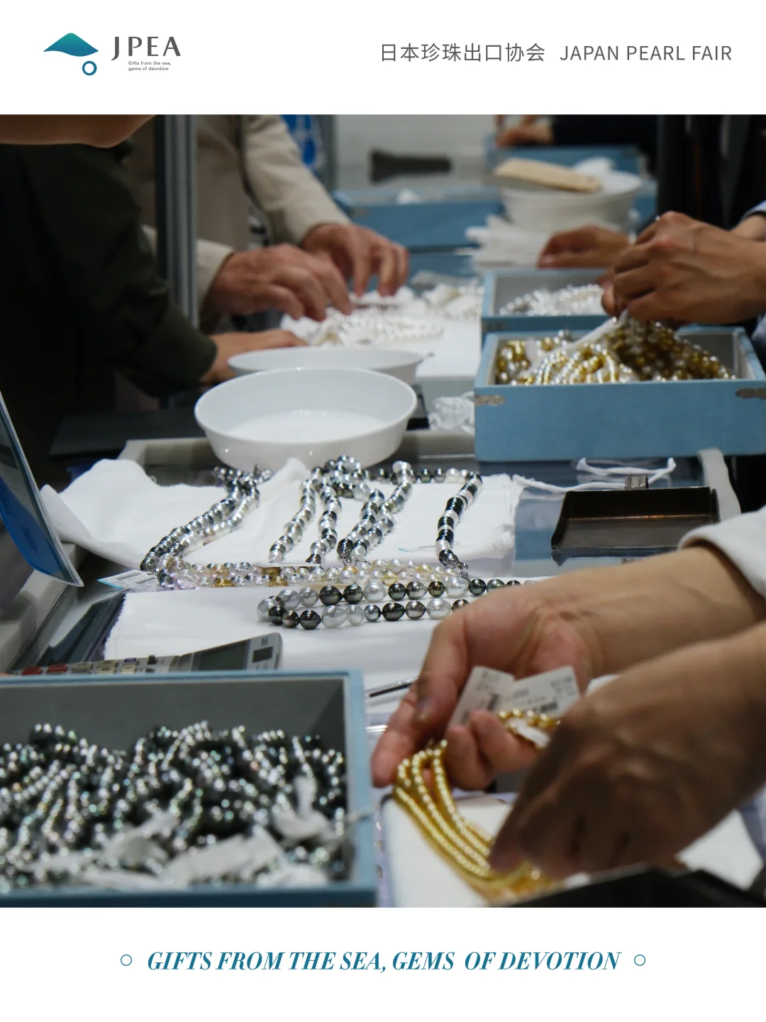 展会预告 | 第七届日本珍珠展 （JPF）