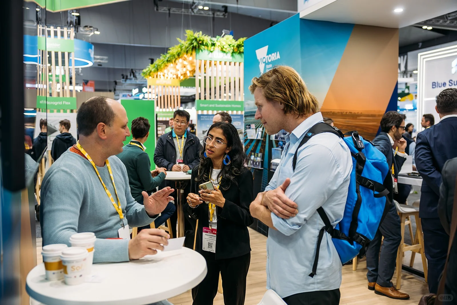 2025年澳大利亚电力及新能源展览会