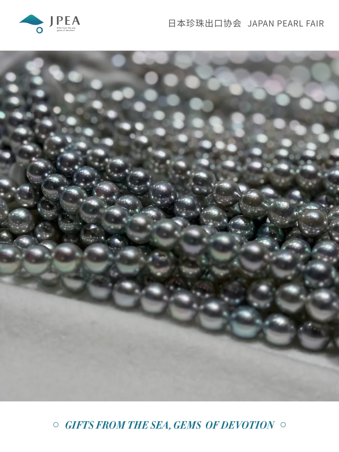 【展会指南】JPF2025 高效采购攻略