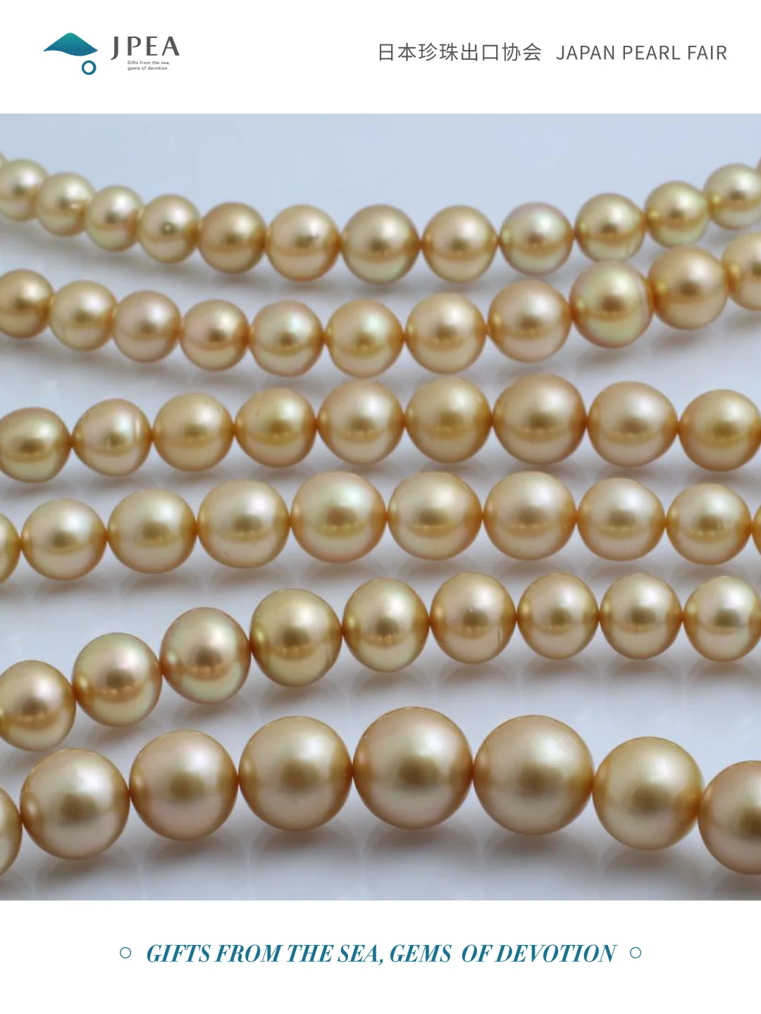 【展会指南】JPF2025 高效采购攻略