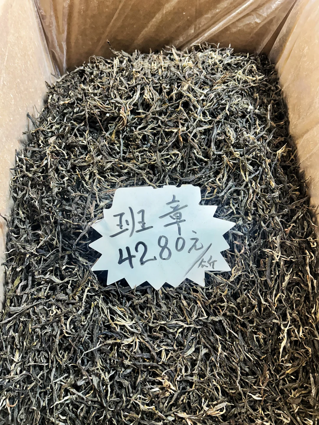 北京茶博会打卡