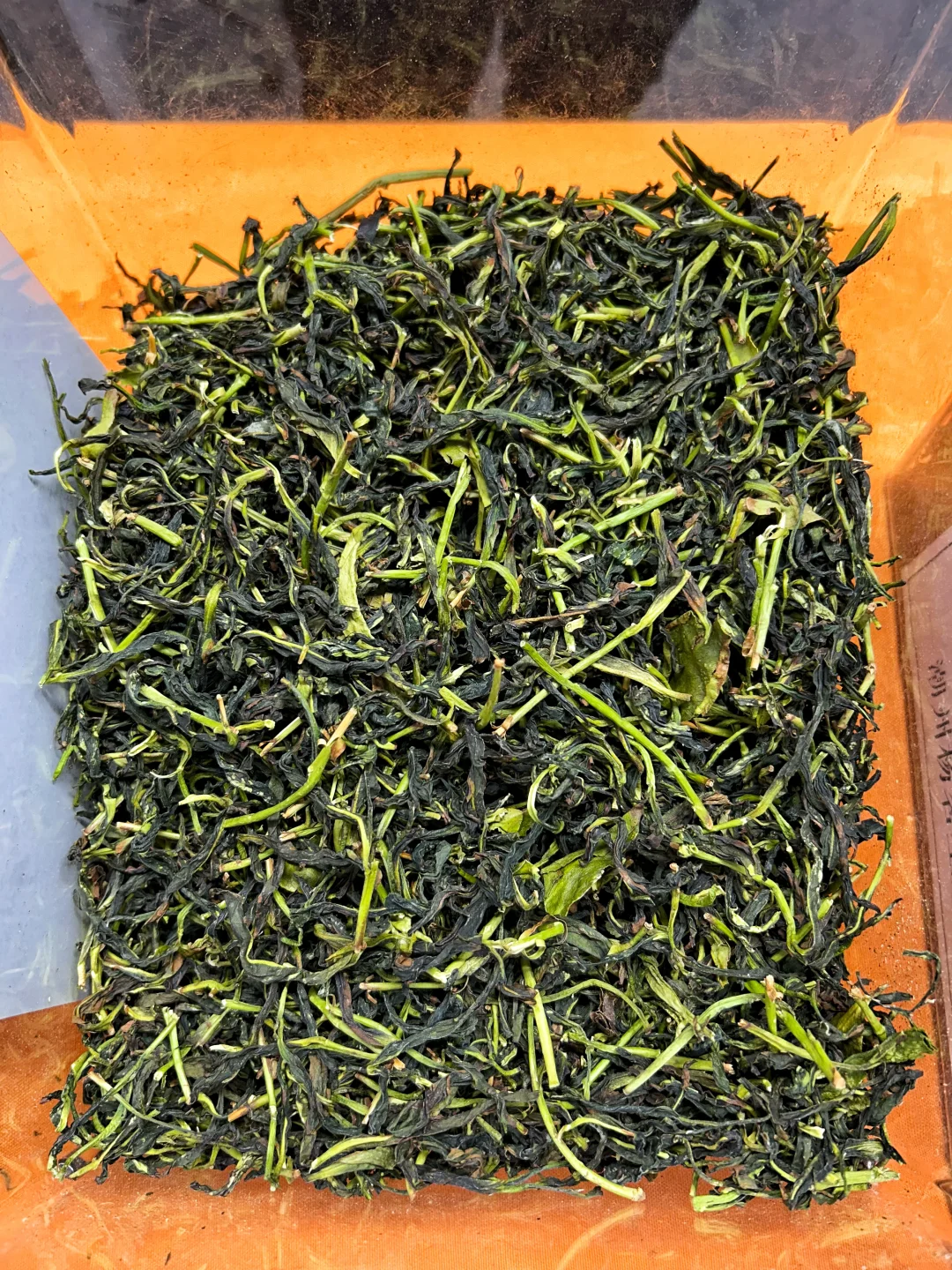 北京茶博会打卡