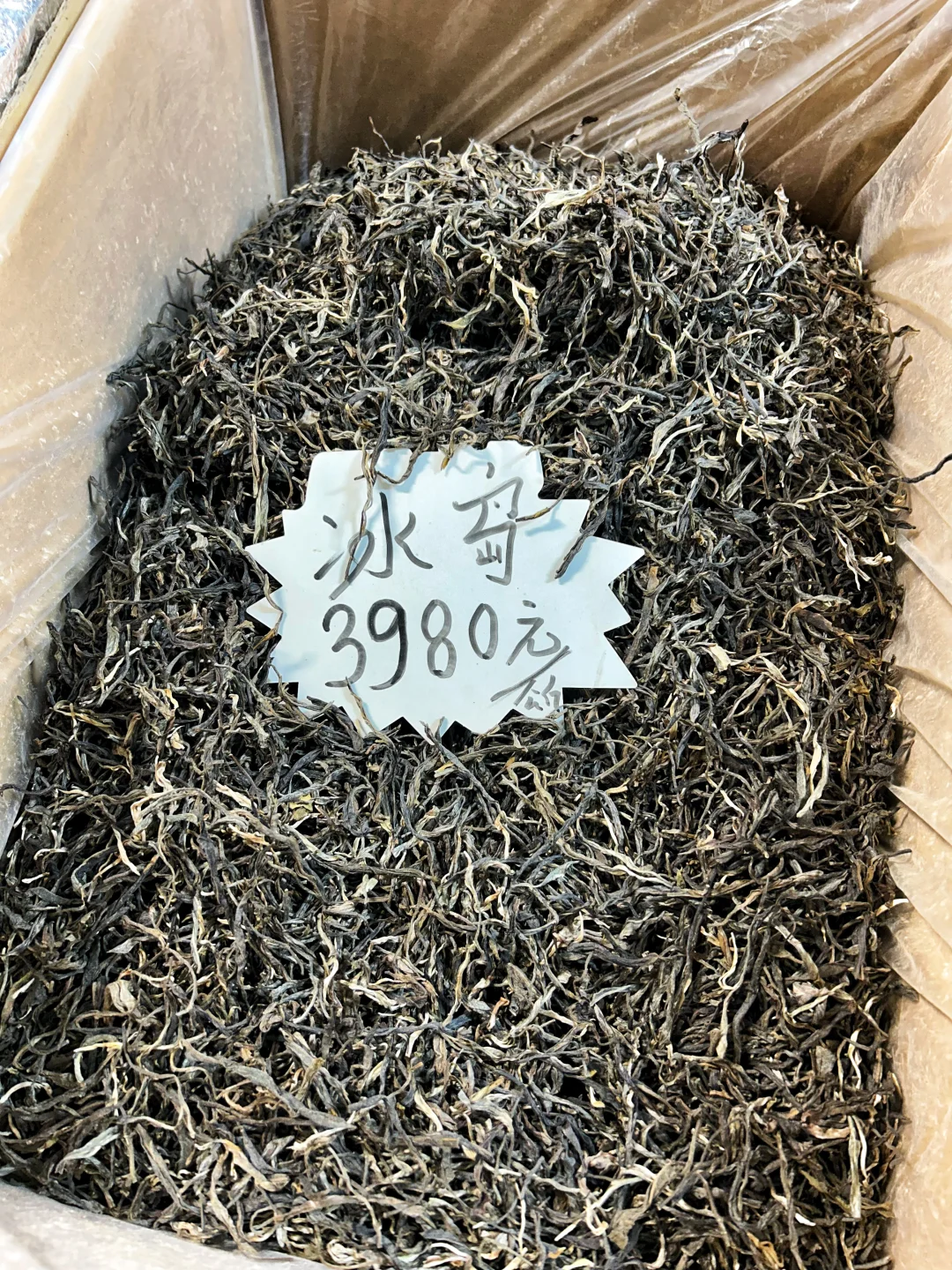 北京茶博会打卡