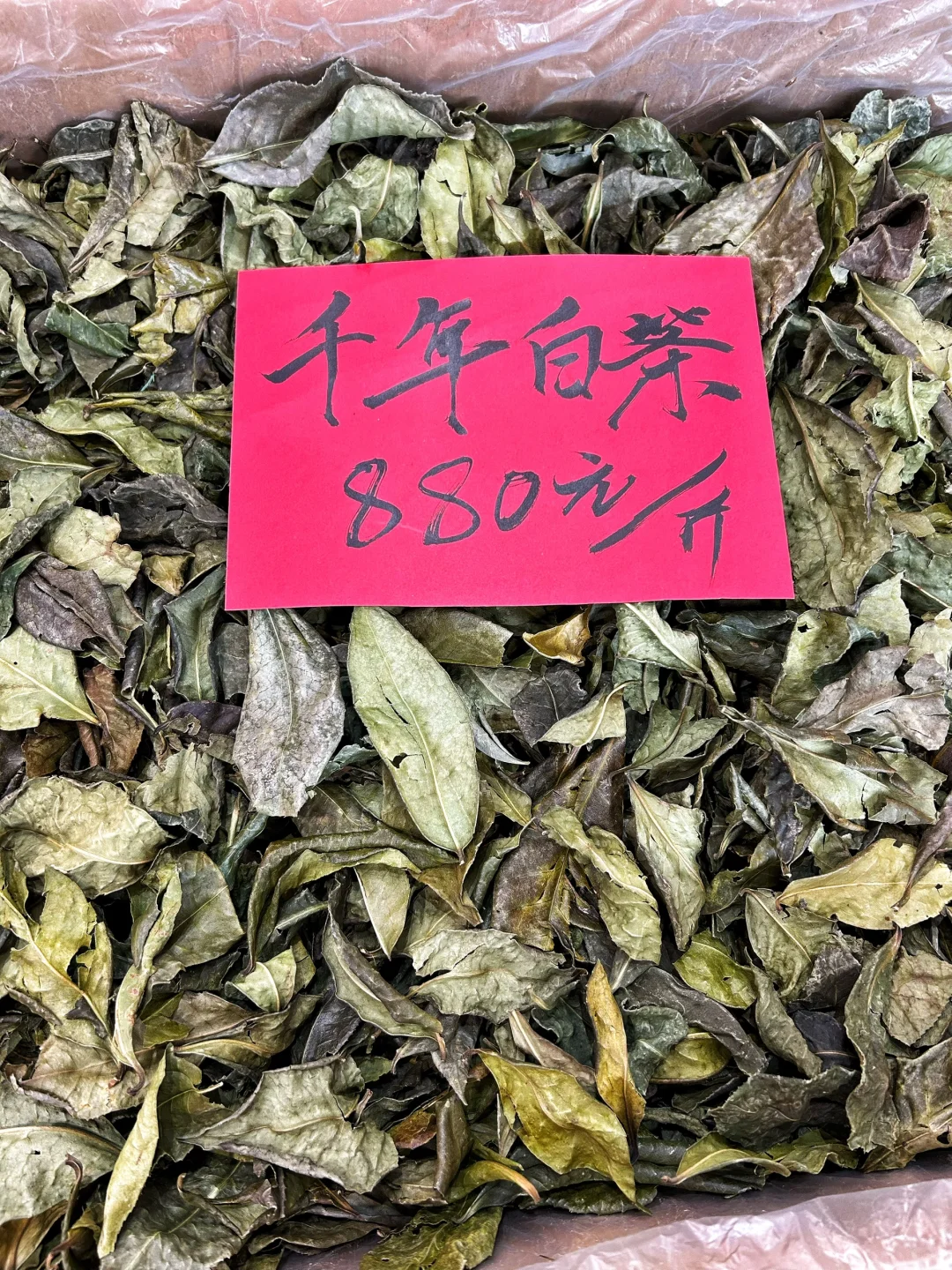 北京茶博会打卡