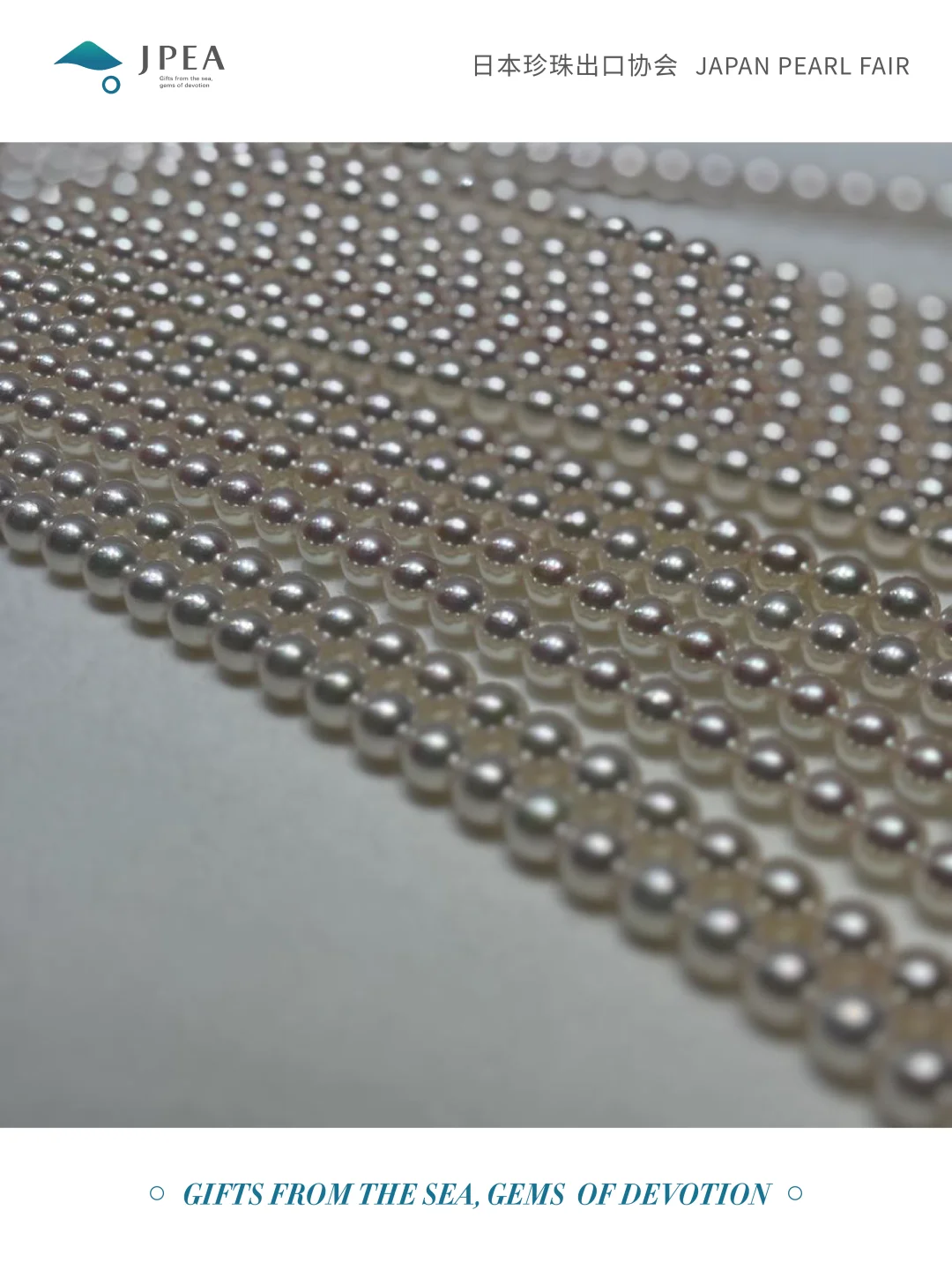 【展会指南】JPF2025 高效采购攻略