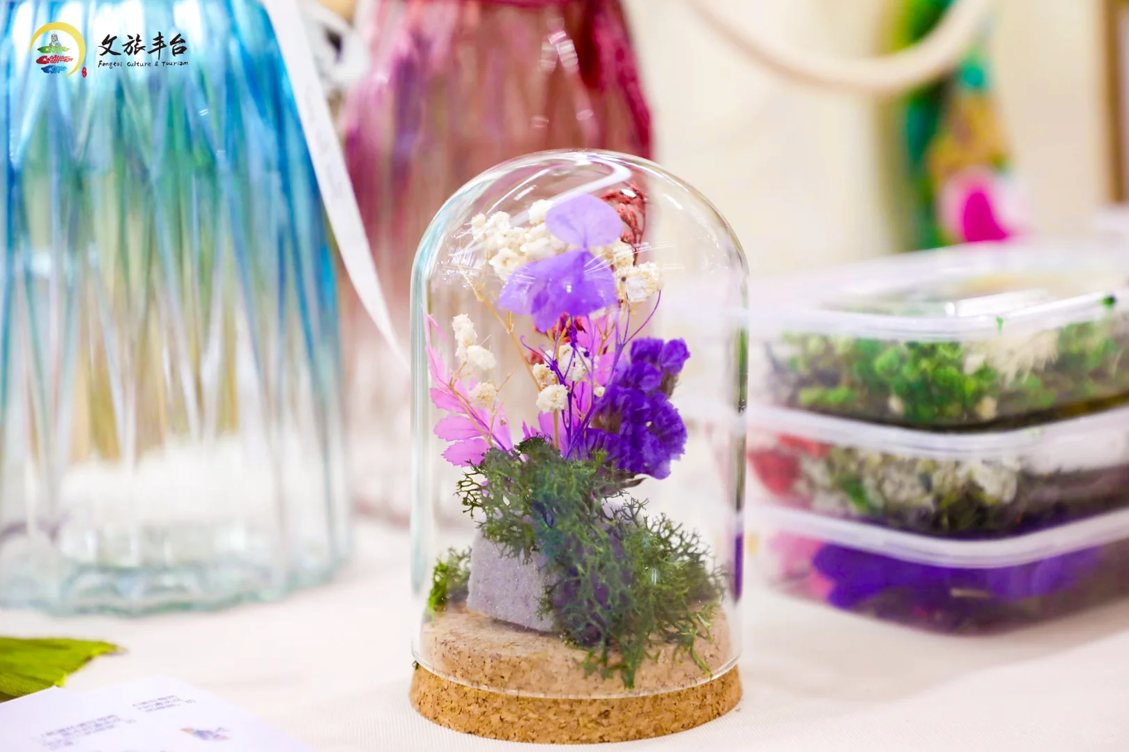 开展啦‼️丰台展区太好逛了~?