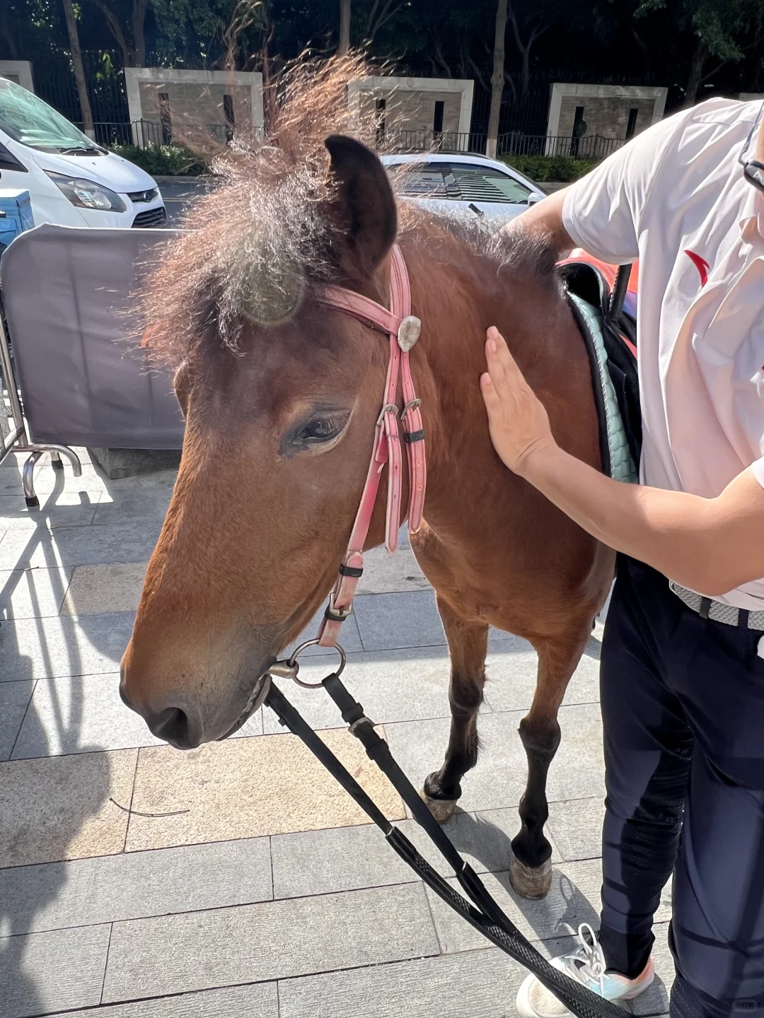 卧槽！！厦门这个商场是出什么大事了？？？！！！！