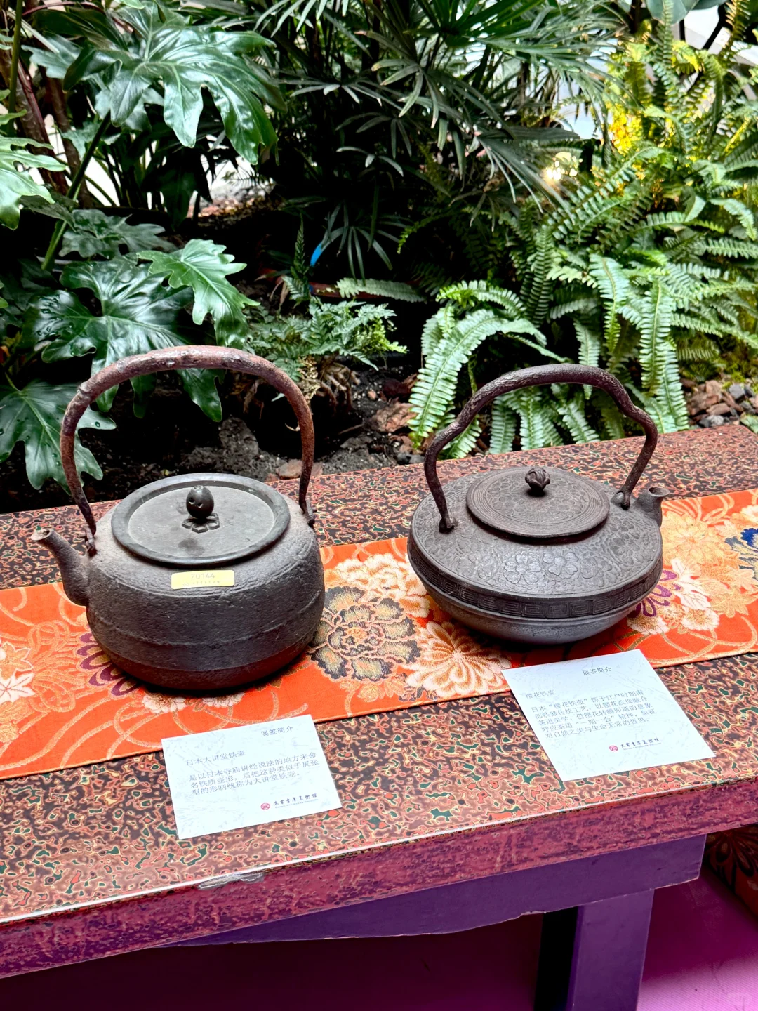 大连超有格调的新展来啦✨