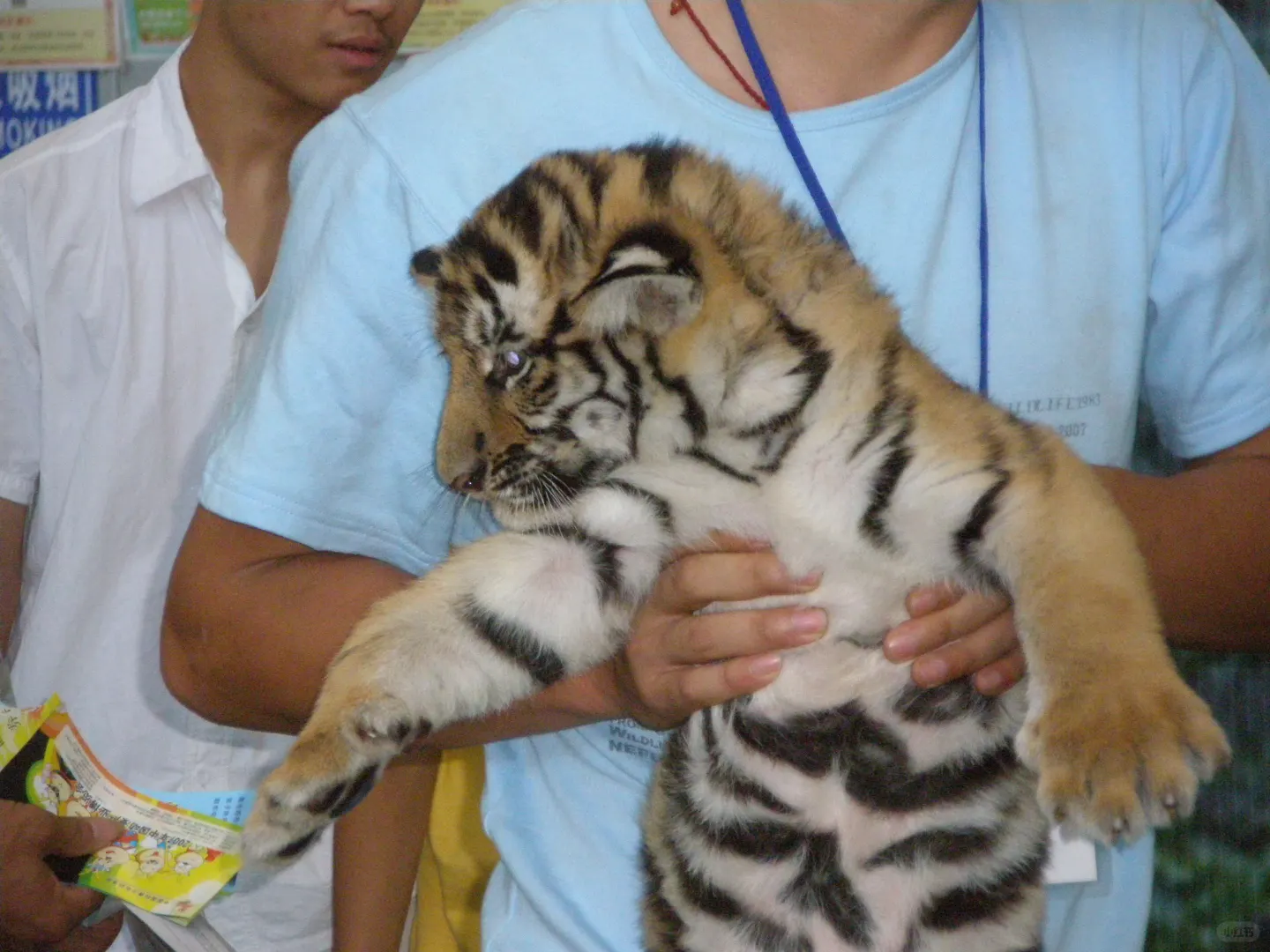 感受一下来自十八年前的cosplay吧