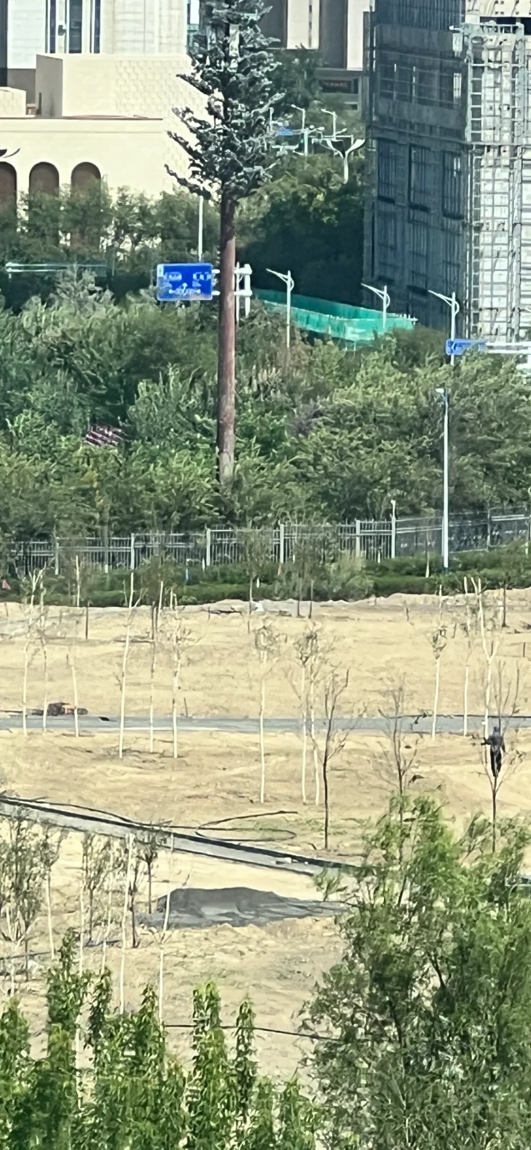 更新现场图片，乌鲁木齐会展中心对面在干嘛？