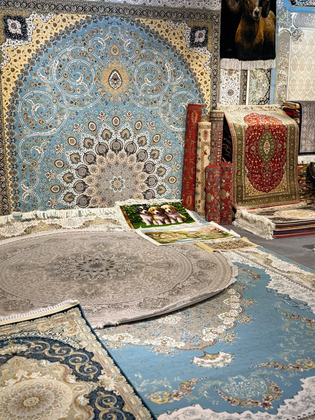 ?昆明南博会第一天！好玩好逛好好买呀！