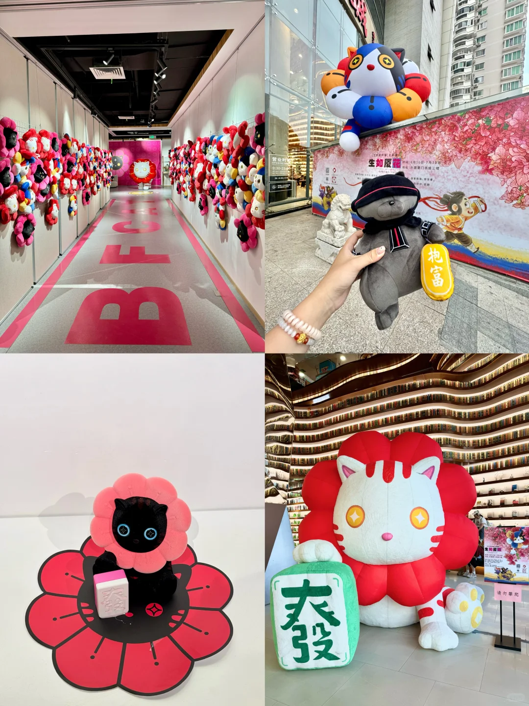 厦门新展！！速去！！超可爱的猫猫展 ！！！