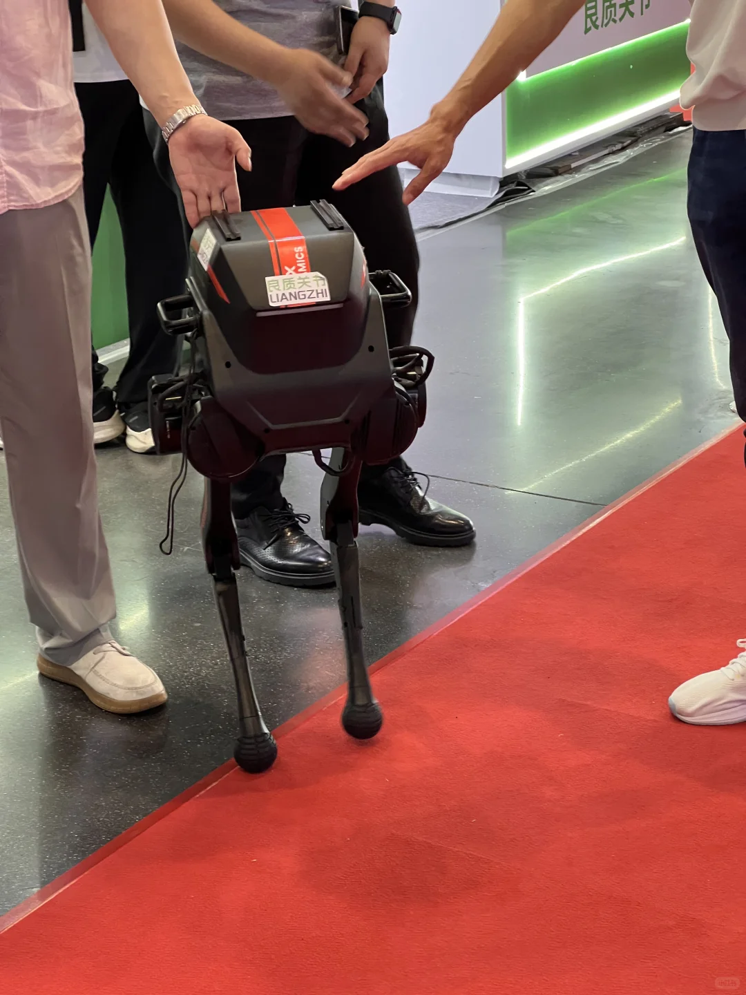 看机器人会展中