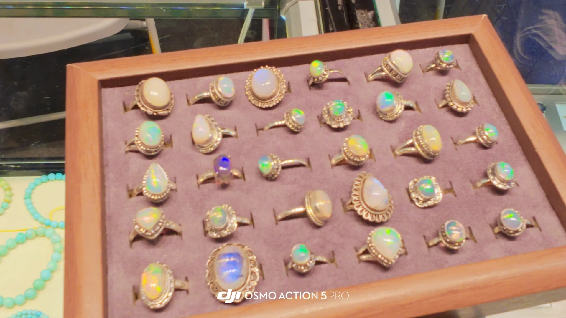 速通中非经贸博览会 gogogo买买买！