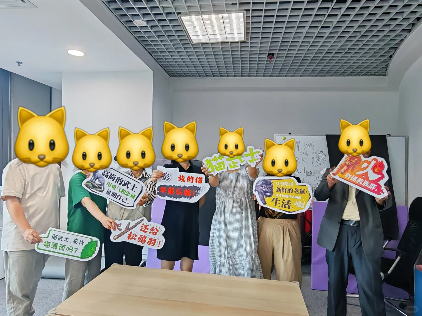 猫！武！士！周！日！见！