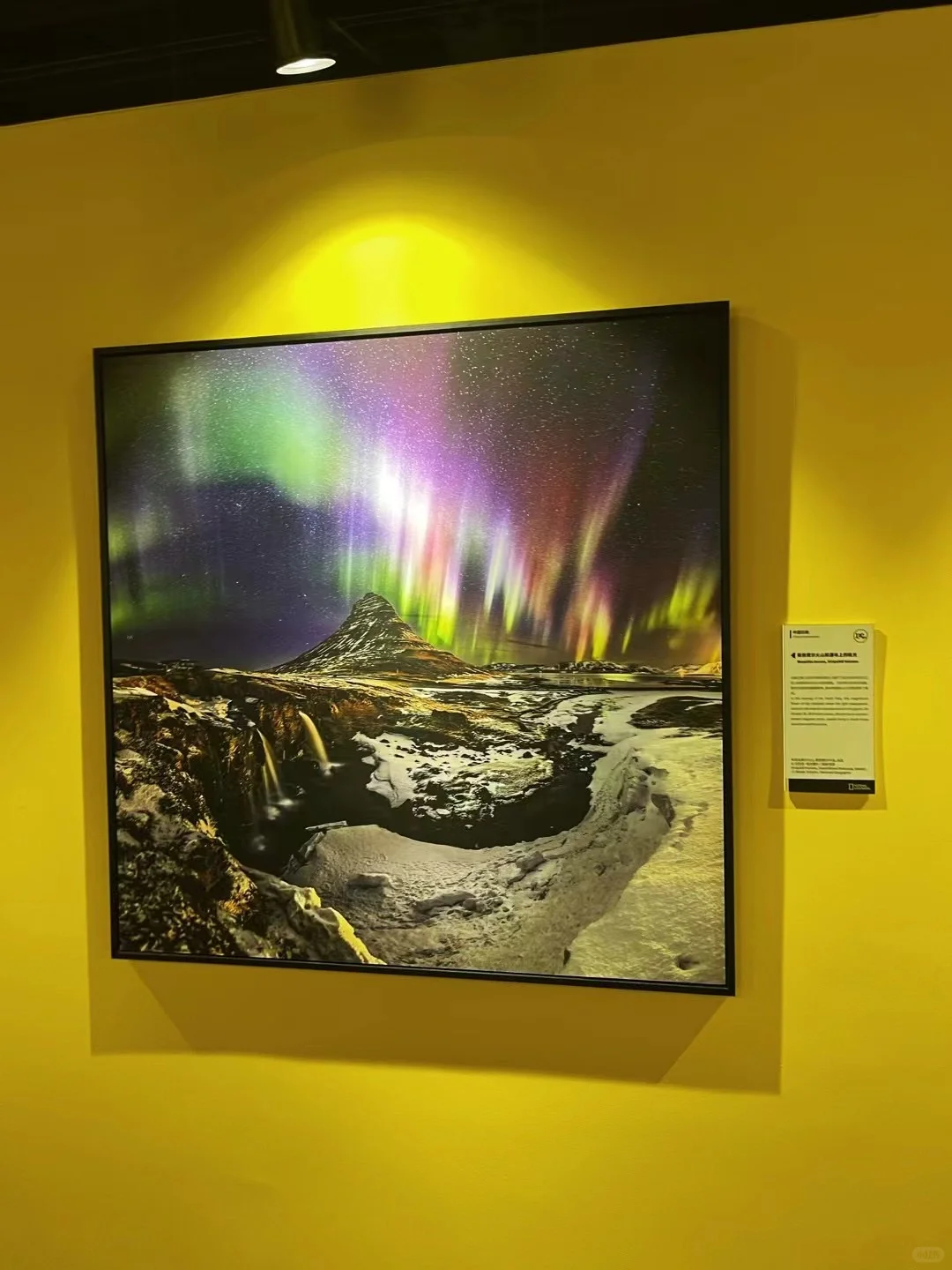 把世界?各地的美好收纳到展览里?