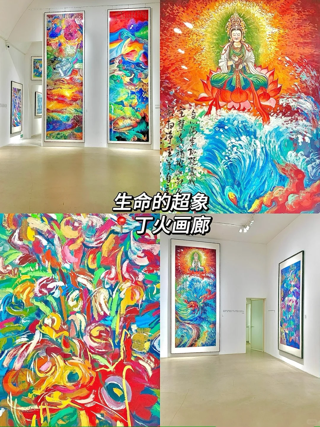 798艺术区?6?️免费展合集！真不要一分钱?