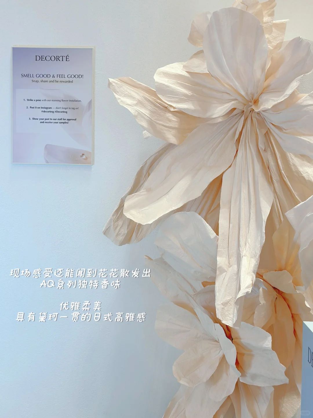 ??黛珂展会必打卡攻略！