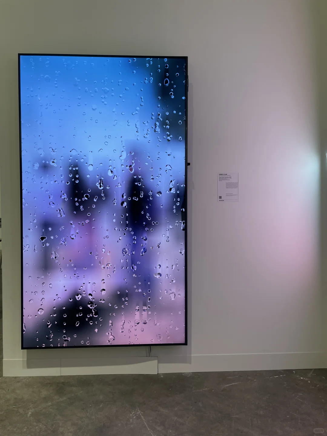 新手必知14｜Art Basel HK—亚洲艺术风暴?️